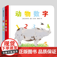 动物数字+动物颜色(正版2册硬壳精装)中英双语洞洞儿童绘本1-2-3三-4-5到6岁幼儿园大中小班宝宝孩子早教阅读睡前启