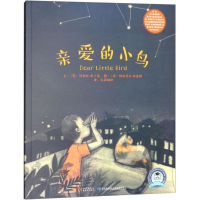 音像亲爱的小鸟