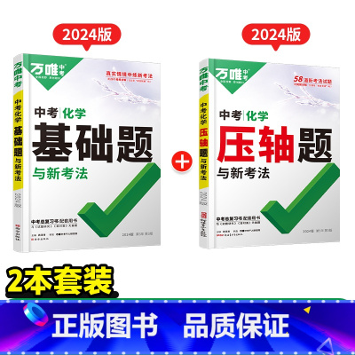 化学进阶❤[基础题+压轴题] 2本 初中通用 [正版]数学压轴题2024初中七年级动点专项训练几何函数精讲精练八年级物理