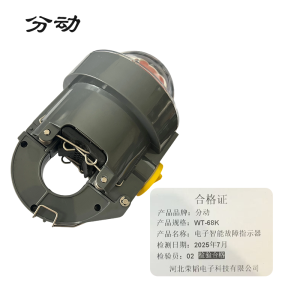 电子智能故障指示器 WT-68K 1只