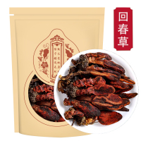 回春草500克云南新货正品顶天柱草苁蓉泡酒茶