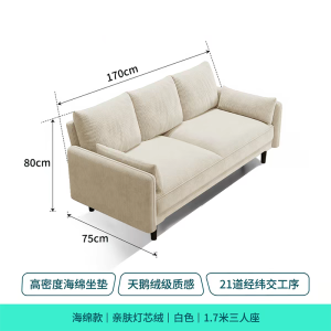 沙发客厅小户型出租房卧室公寓服装店直排双三人布艺沙发