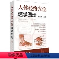 [正版]人体经络穴位速学画册 书籍 书店 化学工业出版社