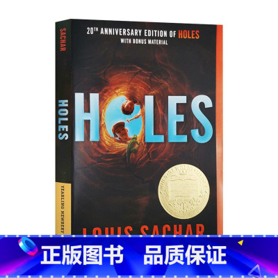 别有洞天 [正版]灿烂千阳 英文原版小说 A Thousand Splendid Suns 英文版进口书The Kite