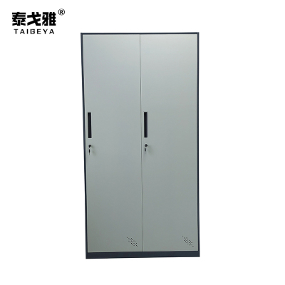 泰戈雅 更衣柜存包柜 TGY-047 个