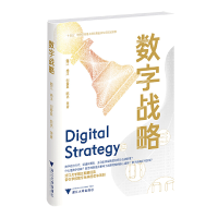 音像数字战略魏江//杨洋//邬爱其//陈亮