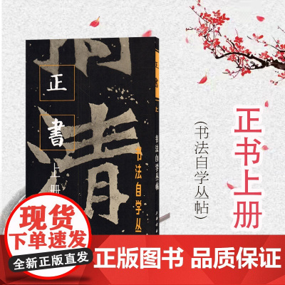 正书上册 书法自学丛帖书法碑帖字帖毛笔字篆刻类书籍 上海书画出版社 世纪出版
