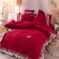 美帮汇毛绒四件套双面绒冬季床裙式瑚珊绒蕾丝花边绒面宝宝绒珊瑚绒