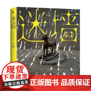 迷墙 中国名摄影师侯登科奖得主严明摄影作品集 2019-2023年彩色摄影作品照片写真图集册书籍收藏模仿参考素材