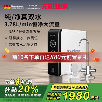 诺森柏格(Nocenbeger)净水器1200G鲜活双出水 X6Pro家用净水机RO反渗透过滤器厨下直饮净水器