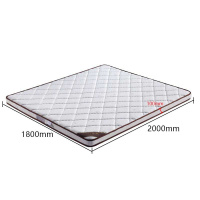 腾昭双人床垫独立床垫经济型软硬适中10cm厚 椰棕床垫 宽1.8米