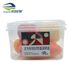 铂锜澳正方形密封带盖保鲜盒10个/套