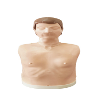 耀典辉诚 急救训练模拟假人(特惠款)810C 个