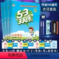 [正版]2020新版53天天练五年级下册语文数学英语pep人教版全套3本五三5.3天天练小学5五年级下册同步训练习册辅