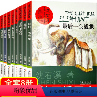 沈石溪动物小说全集全套8册 [正版]沈石溪动物小说全集珍藏版画本大王全套书籍 后一头战象斑羚飞渡三四五年级课外书阅读老师