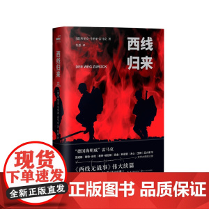 西线归来 埃里克·马里亚·雷马克 长江文艺出版社 正版书籍