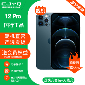 [99新]Apple iPhone 12Pro 海蓝色 128GB 二手苹果12P 全网通 双卡双待 国行正品手机5G