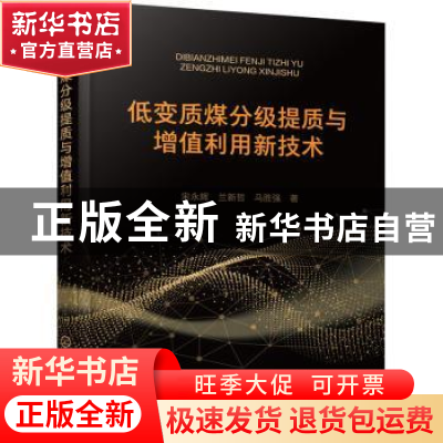 正版 低变质煤分级提质与增值利用新技术 宋永辉 化学工业出版社