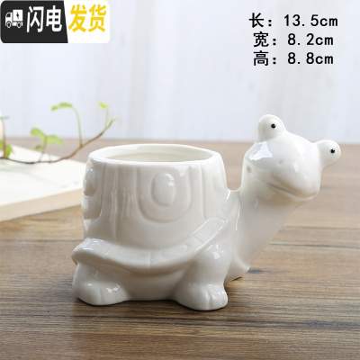 三维工匠卡通可爱萌多肉花盆小号植物白色陶瓷创意简约拇指盆 FP乌龟 小花盆容器