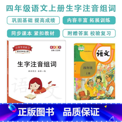 生字注音(四年级上下册共2本) [正版]帝源四年级上册语文生字注音组词形近字同音字多音字练习题训练强化练习练习册小学人教