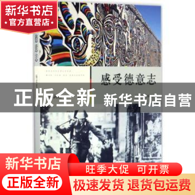 正版 感受德意志:1982-1991 杨武能著 四川文艺出版社 9787541143