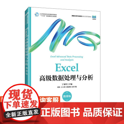 [店教材]Excel高级数据处理与分析(微课版)9787115623249 丁菊玲 人民邮电出版社