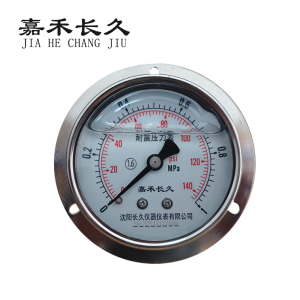 嘉禾长久 耐震压力表轴向带边检测型 YTN100ZT 块