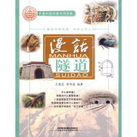 音像(漫话隧道)王效良,景诗庭 编著