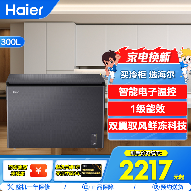 海尔(Haier) BC/BD-300WGHEC