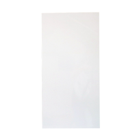 嘉众忆 白瓷砖100*600*20mm JZY-JZ096 片