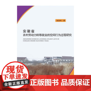 安徽省农村劳动力转移就业的空间行为过程研究