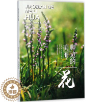 [醉染正版]脚边的美丽(花)陶隽超9787503894459中国林业出版社生活百科书籍