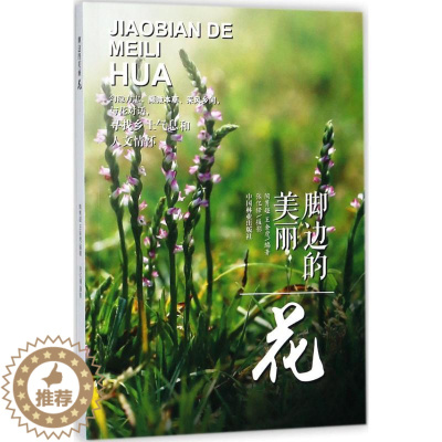 [醉染正版]脚边的美丽(花)陶隽超9787503894459中国林业出版社生活百科书籍