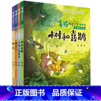 金波四季美文[注音美绘版4册] [正版]全套8册 金波四季童话 四季美文注音版花瓣儿鱼树和喜鹊阳光儿童读物小学生阅读书籍