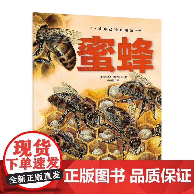 神奇动物在哪里蜜蜂 恐龙书籍动物世界大百科注音版少儿百科图书幼儿科普书6岁 海底恐龙绘本海洋世界昆虫科学课外书小学生