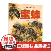 神奇动物在哪里蜜蜂 恐龙书籍动物世界大百科注音版少儿百科图书幼儿科普书6岁 海底恐龙绘本海洋世界昆虫科学课外书小学生