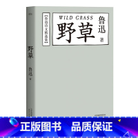 [正版]野草 鲁迅 精选74篇诗文 鲁迅作品集 经典文学 诗集 诗词 名家名篇 图书