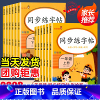 [热卖❤️1本]同步练字帖 五年级下 [正版]2024新版同步练字帖小学生一二三四五六年级上下册人教版语文每日一练控笔训