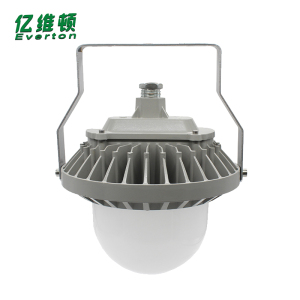 亿维顿 LED平台泛光灯 100W 个