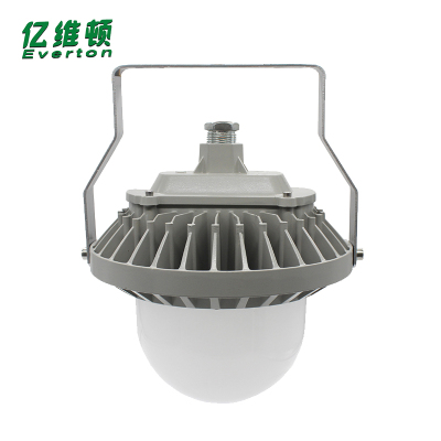 亿维顿 LED平台泛光灯 100W 个