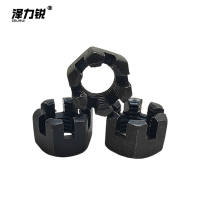 泽力锐 六角开槽螺母 M20mm 个