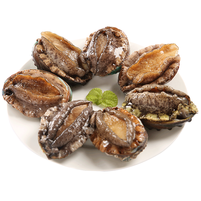 wecook 味库鲜活珍珠鲍鱼 500g/20-24头 盒装 鲜活到家