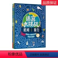 全2册 [正版]迷宫大挑战环游世界 时间旅行全2册历史城市知识游戏益智专注力训练图画捉迷藏书 培养3-6-12岁儿童逻辑