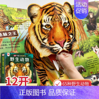 [大开本]野生动物3D立体发声书 [正版]幼儿安全常识立体翻翻书绘本3d立体书儿童宝宝3-6-8岁以上婴幼儿故事书启蒙认