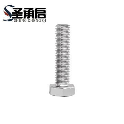圣承启 外六角螺丝 M10*100 个(M10*100)
