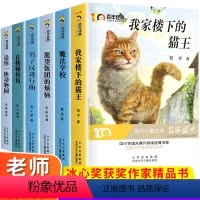 [全套6册]百年经典儿童文学名家作品集第一辑 [正版]全6册 冰心奖获奖作家精品书系我家楼下的猫王魔法学校小学生三四五六