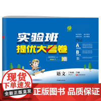 实验班提优大考卷 二年级下册 小学语文 人教版 2024年春季新版教材同步单元巩固专项分类综合强化提优训练月度期中期末测
