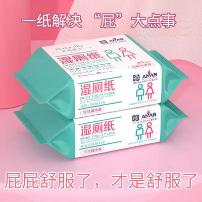 闪电发货-米特医生湿厕纸40片2包如厕湿纸巾马桶可冲私处清洁护理湿巾经期痔疮成人湿纸巾出差旅行便携装擦屁屁卫生湿纸巾
