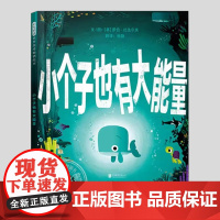 小个子也有大能量(正版硬壳精装)用智慧完成社交主题儿童绘本3三-4-5到6岁以上幼儿园大中小班宝宝孩子早教阅读睡前故事图