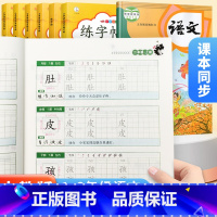 四年级上册练字帖 小学通用 [正版]人教版一二年级上下册练字帖三四五六年级上册下册练字字帖全套看拼音写词语控笔训练每日一